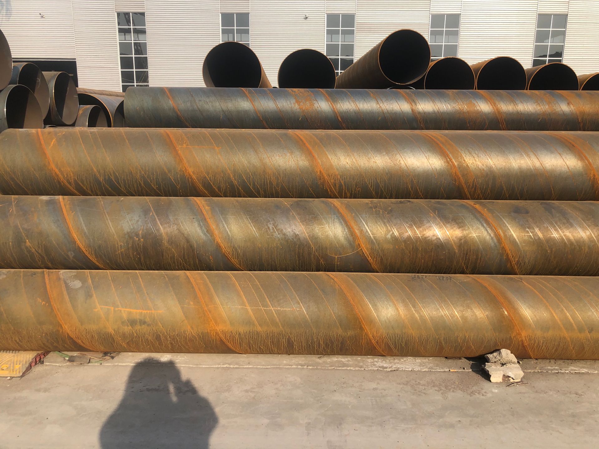 1617588878152549.jpg 1ML%%N4X`3RL3$}PWQ(HC$N.jpg